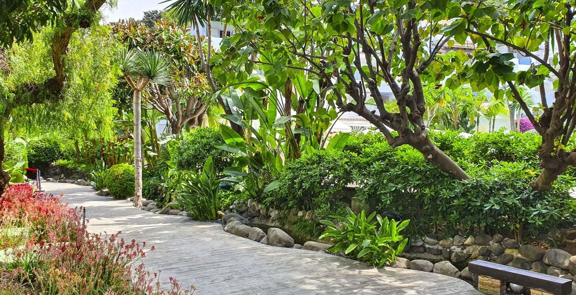 Deluxe Garden Suite in Hotel Puente Romano