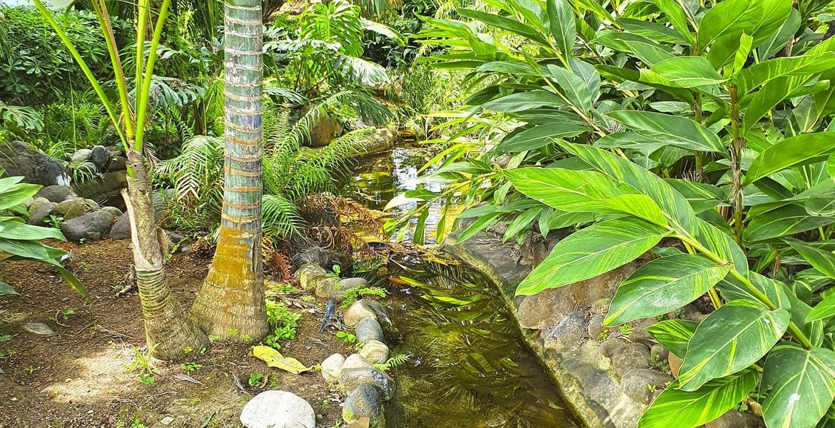 Deluxe Garden Suite in Hotel Puente Romano