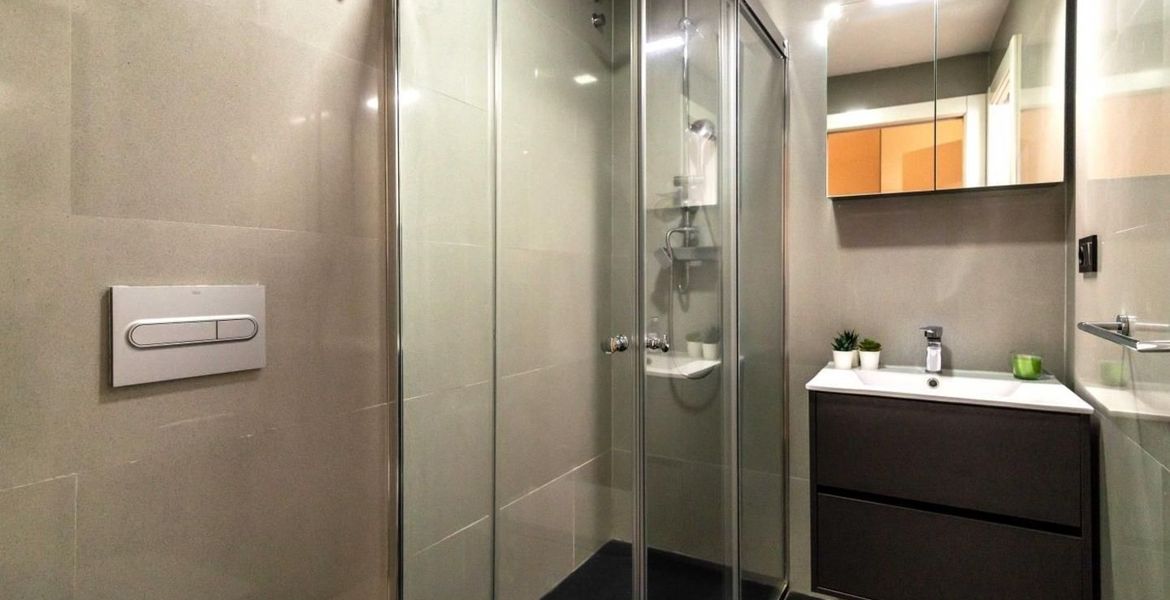 Apartment in Puente Romano