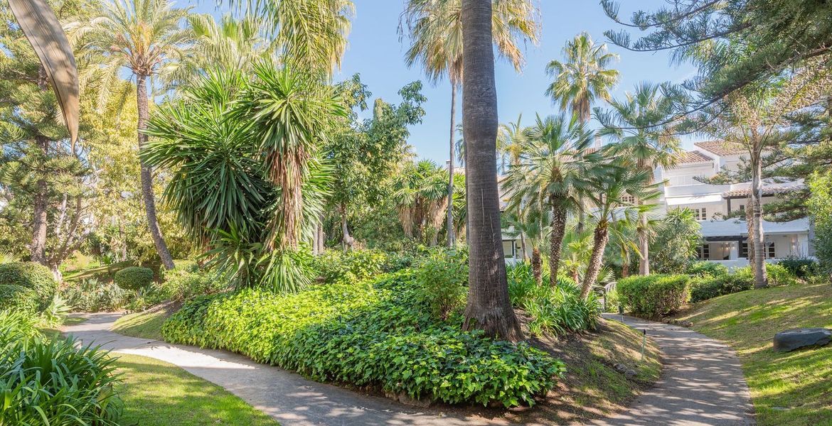Apartment for rent in Puente Romano II Nobu Hotel