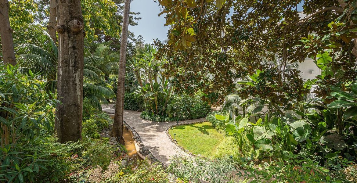Suite Apartment for rent in Hotel Puente Romano