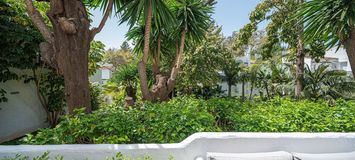 Suite Apartment for rent in Hotel Puente Romano