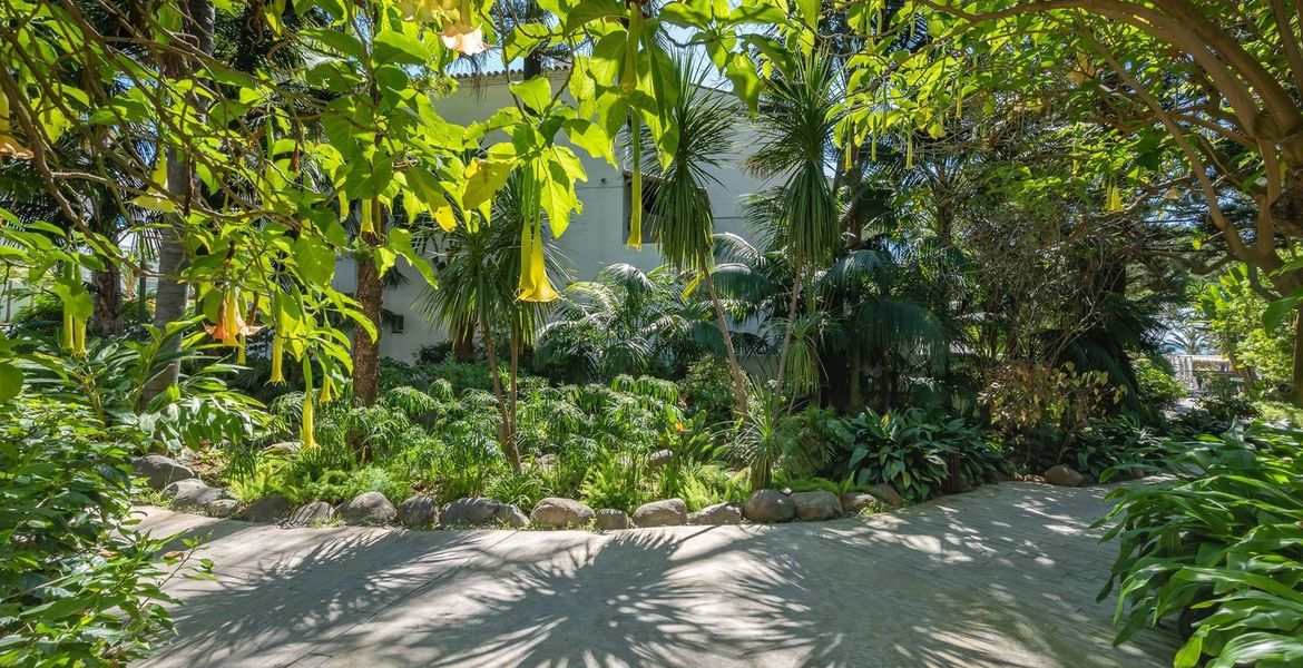 Suite Apartment for rent in Hotel Puente Romano