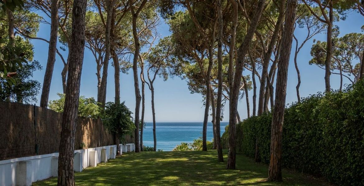Rent Villa in Marbella Club