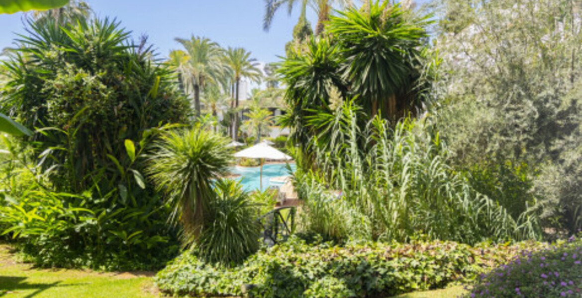 Apartment for rent in Puente Romano II Nobu Hotel