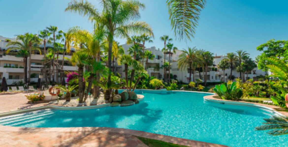 Exceptional apartment in front line beach 