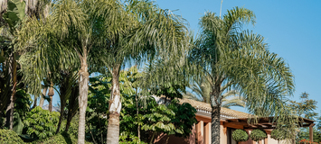 LUXURY VILLA IN MARBELLA  