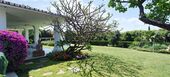 Villa for rent in Nagüeles, Marbella Golden Mile
