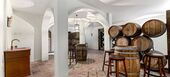 Villa for rent in Golden Mile Marbella La Carolina