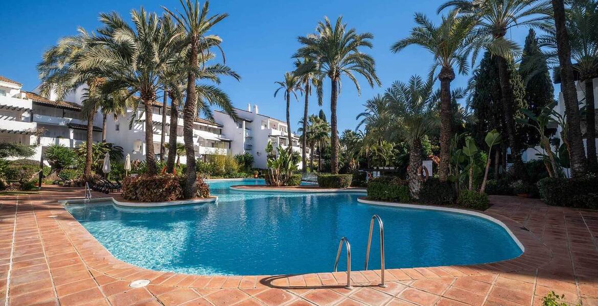 Apartment for rent next to Nobu Hotel Puente Romano
