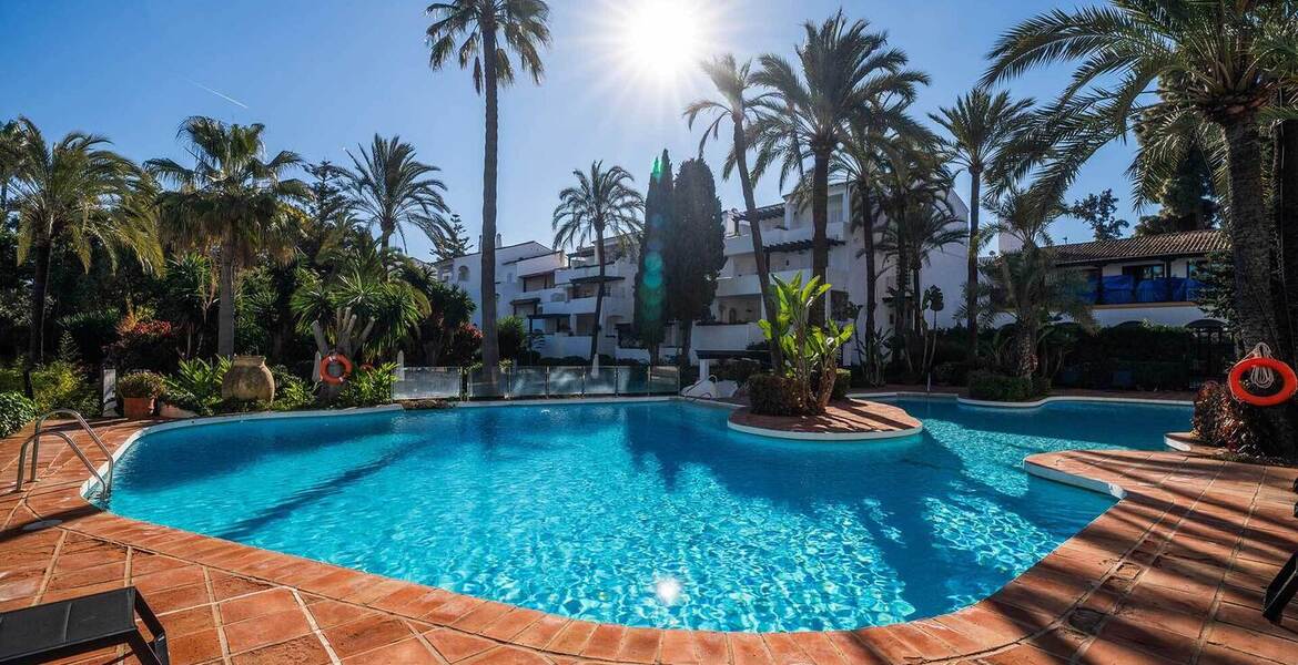 Apartment for rent next to Nobu Hotel Puente Romano