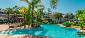 Exceptional apartment in front line beach 